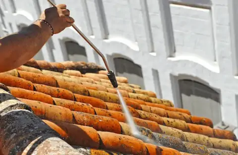 Nettoyage de toitures - Thoiry